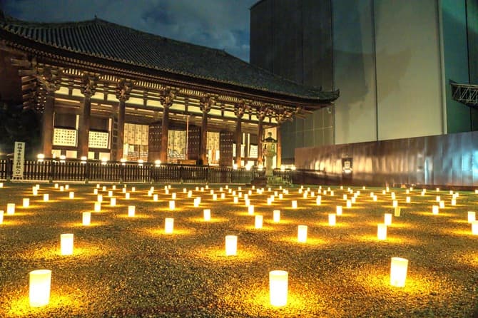2026年「なら燈花会」の楽しみ方！幻想的な見どころやおすすめの回り方を紹介
