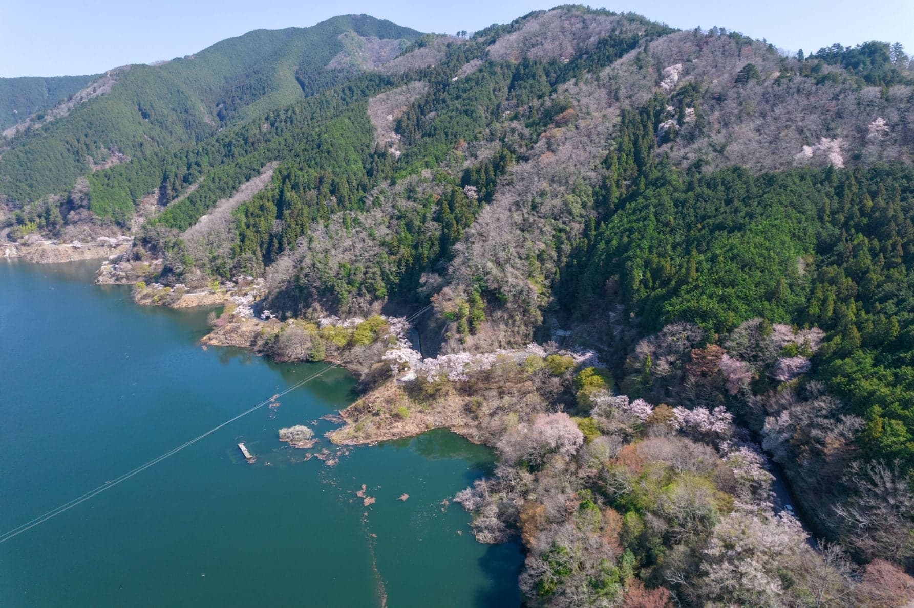 奥矢作湖畔桜並木（岐阜県・愛知県）。湖畔に広がる静寂と絶景の春ルート