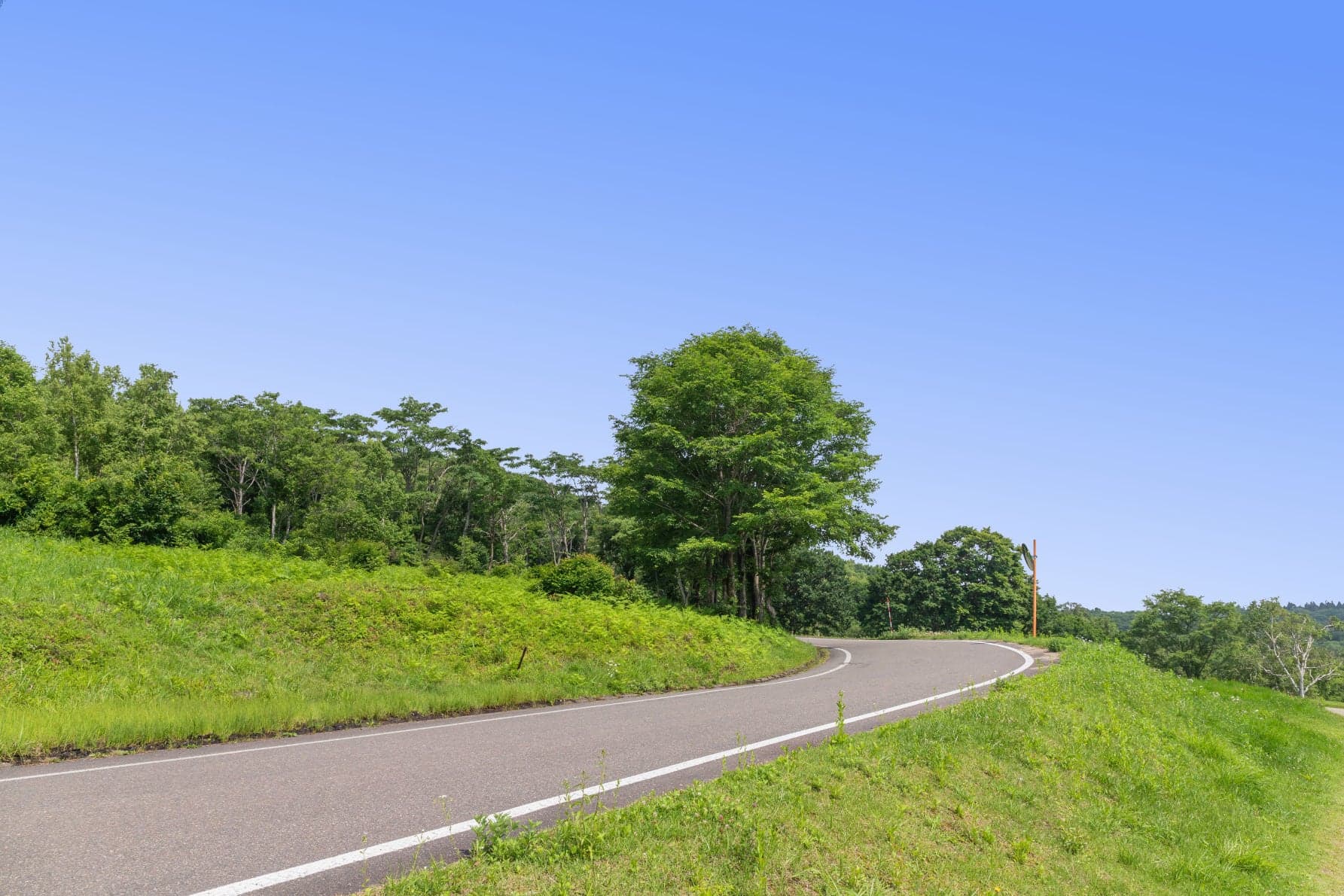 県道39号笹ヶ峰高原（新潟県）。異国情緒にあふれた山麓が広がる山岳ドライブルート