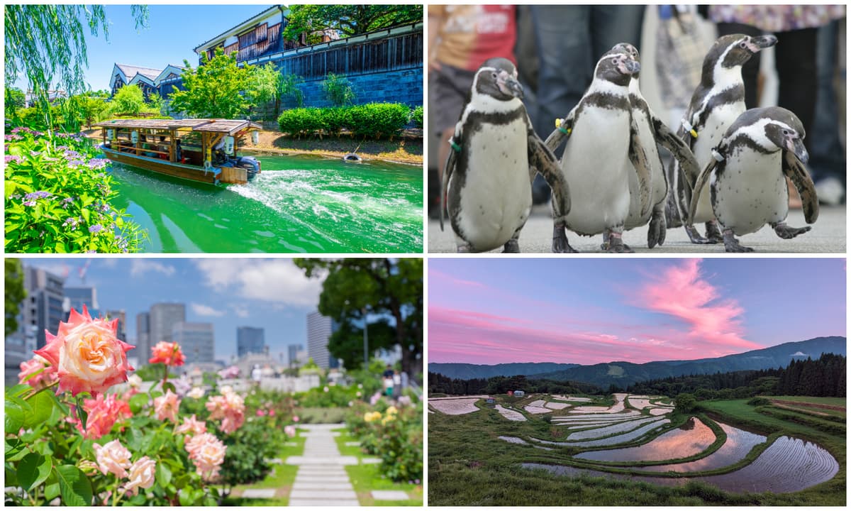 【2026】5月のおすすめ観光地・穴場14選 関西で日帰り旅!絶景・グルメ・祭りを満喫