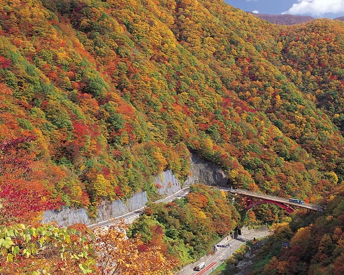 秋の岩手観光おすすめスポット!紅葉・グルメ・温泉&お得な「いわて旅割」情報も